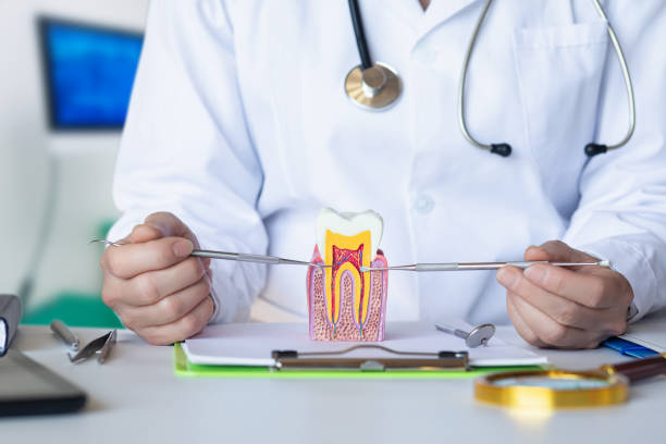 Best Broken or Chipped Tooth Repair in Upland, PA